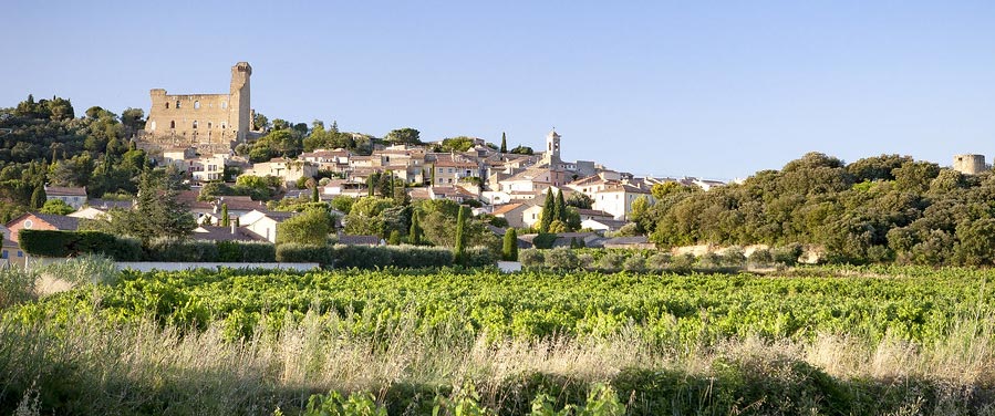 Activités en Provence